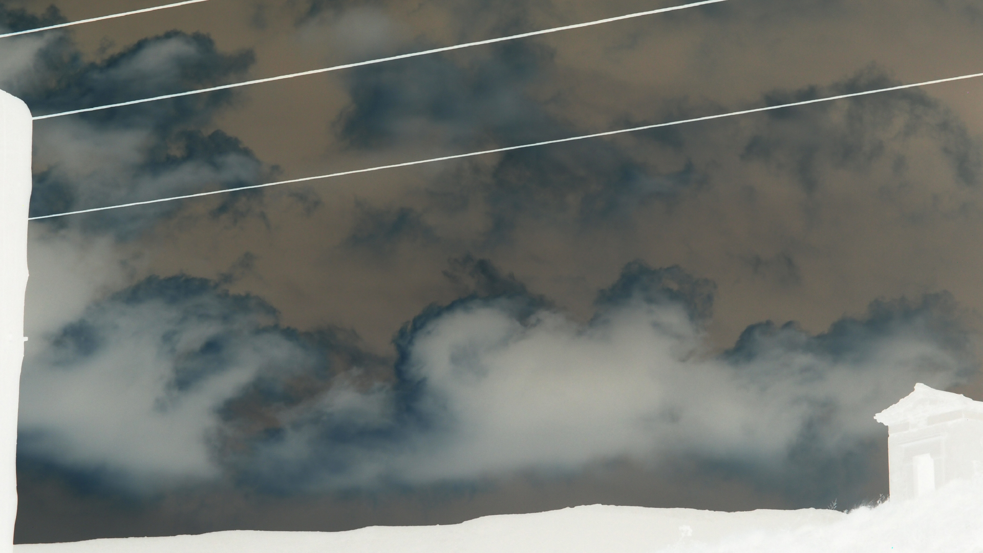 2021-09-09 01 Morning Glory (Foto)